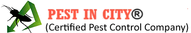 Pest In City