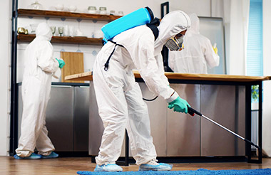 Pest Control
